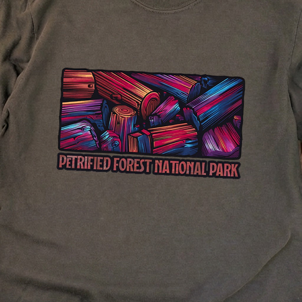 Petrified Forest National Park Cotton Long Sleeve
