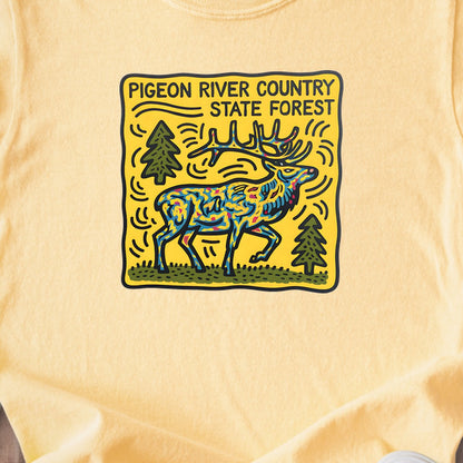 Pigeon River Country State Forest Kids Cotton T-Shirt