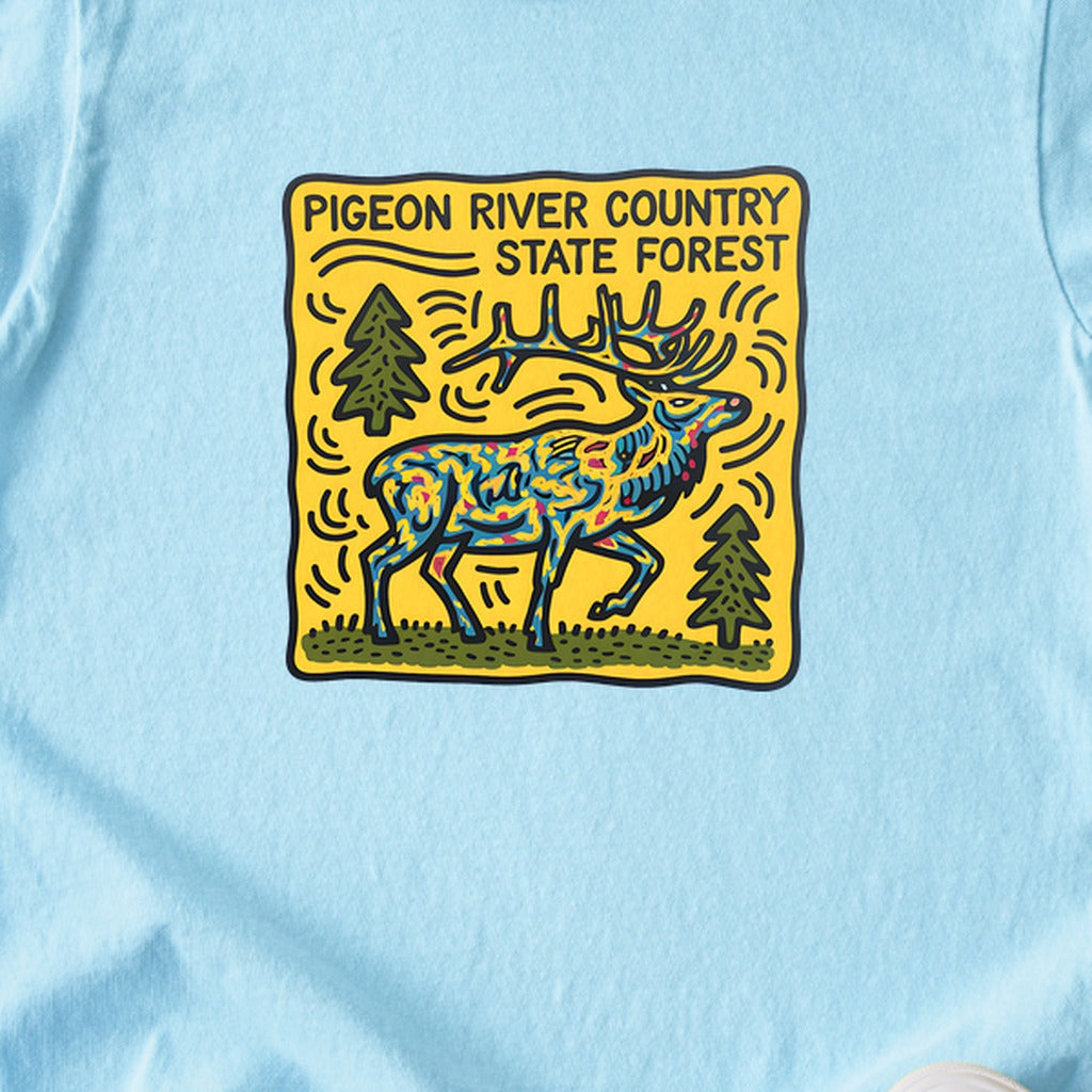 Pigeon River Country State Forest Kids Cotton T-Shirt