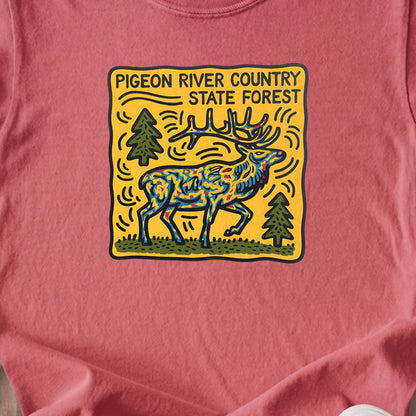 Pigeon River Country State Forest Kids Cotton T-Shirt