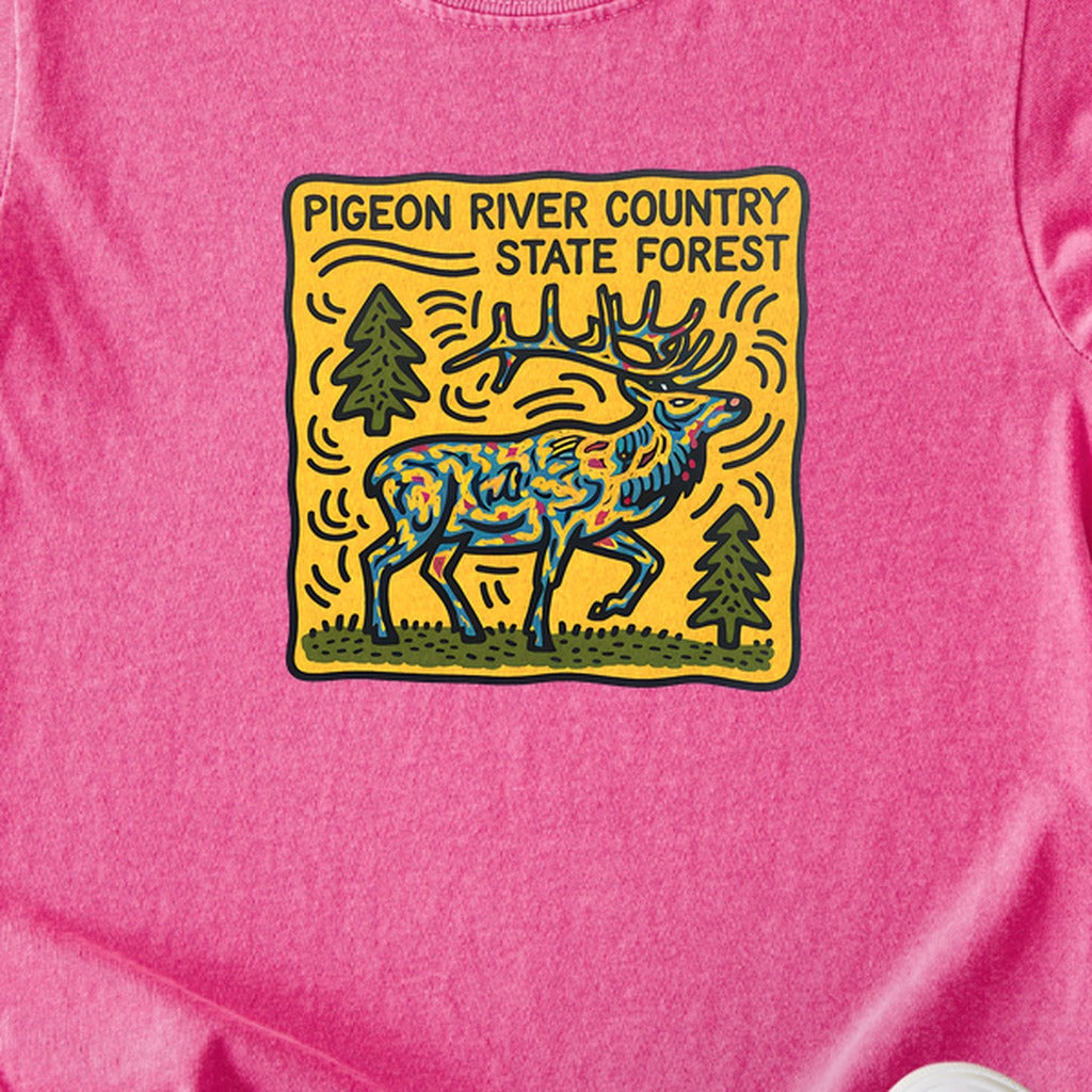 Pigeon River Country State Forest Kids Cotton T-Shirt