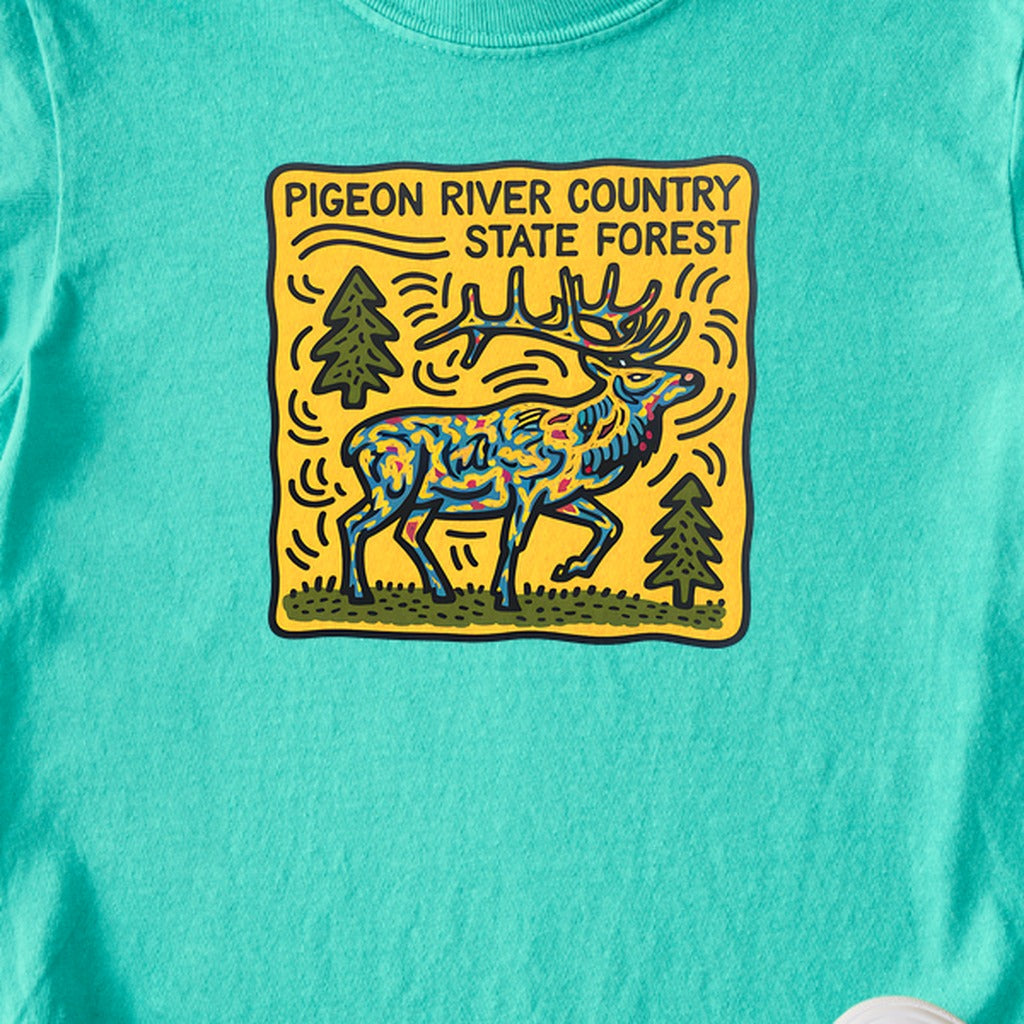 Pigeon River Country State Forest Kids Cotton T-Shirt