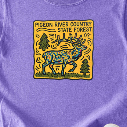 Pigeon River Country State Forest Kids Cotton T-Shirt