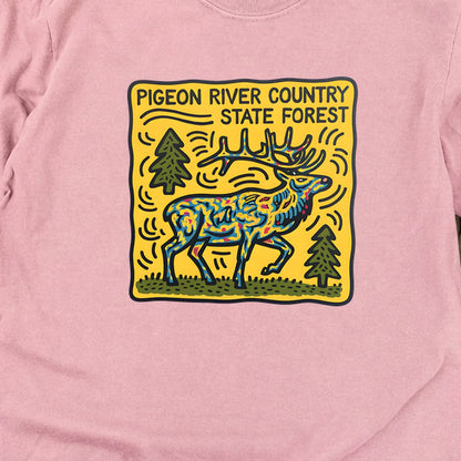 Pigeon River Country State Forest Cotton Long Sleeve