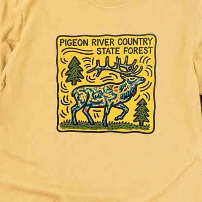 Pigeon River Country State Forest Cotton Long Sleeve