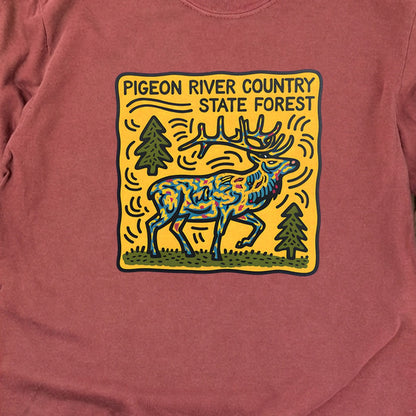 Pigeon River Country State Forest Cotton Long Sleeve
