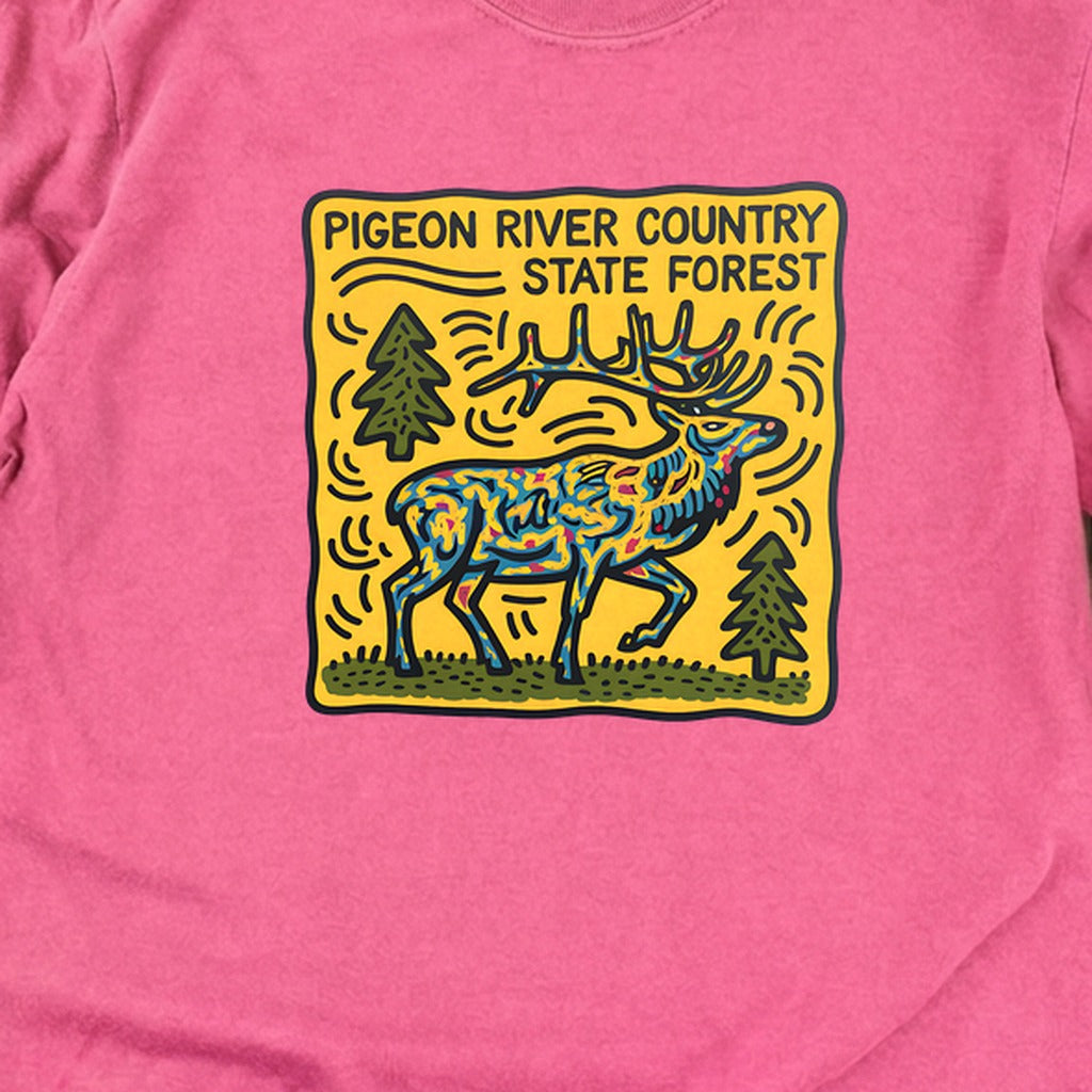 Pigeon River Country State Forest Cotton Long Sleeve