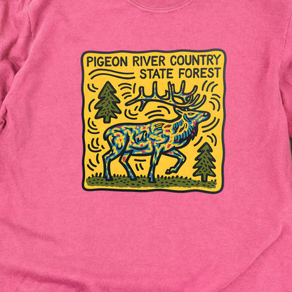 Pigeon River Country State Forest Cotton Long Sleeve