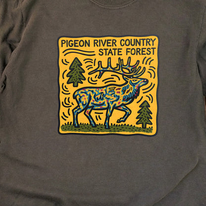 Pigeon River Country State Forest Cotton Long Sleeve