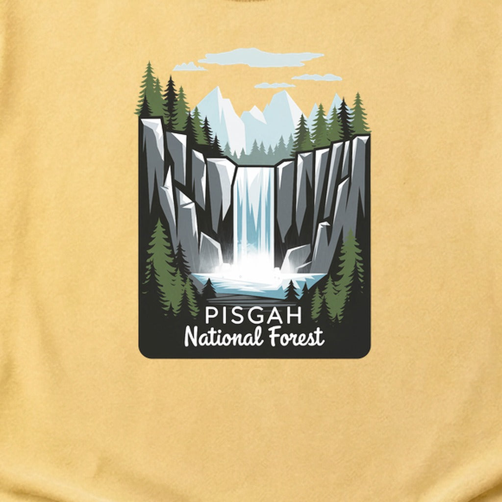 Pisgah National Forest 2 Cotton T-Shirt