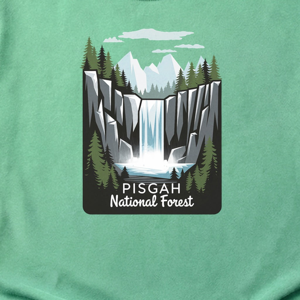 Pisgah National Forest 2 Cotton T-Shirt