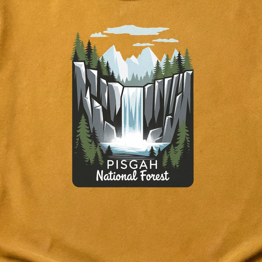 Pisgah National Forest 2 Cotton T-Shirt