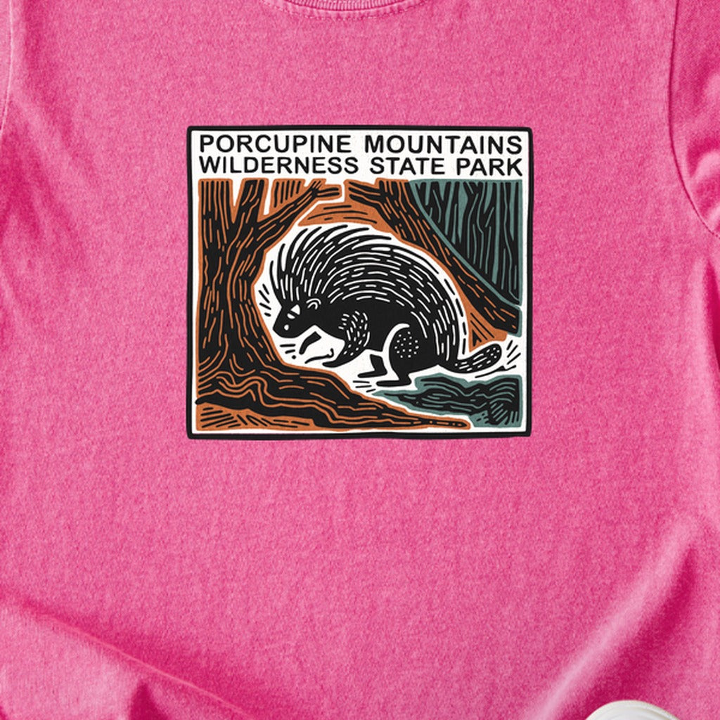 Porcupine Mountains Wilderness State Park Kids Cotton T-Shirt