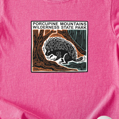 Porcupine Mountains Wilderness State Park Kids Cotton T-Shirt