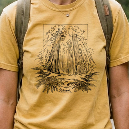 Redwood Line Drawing Cotton T-Shirt