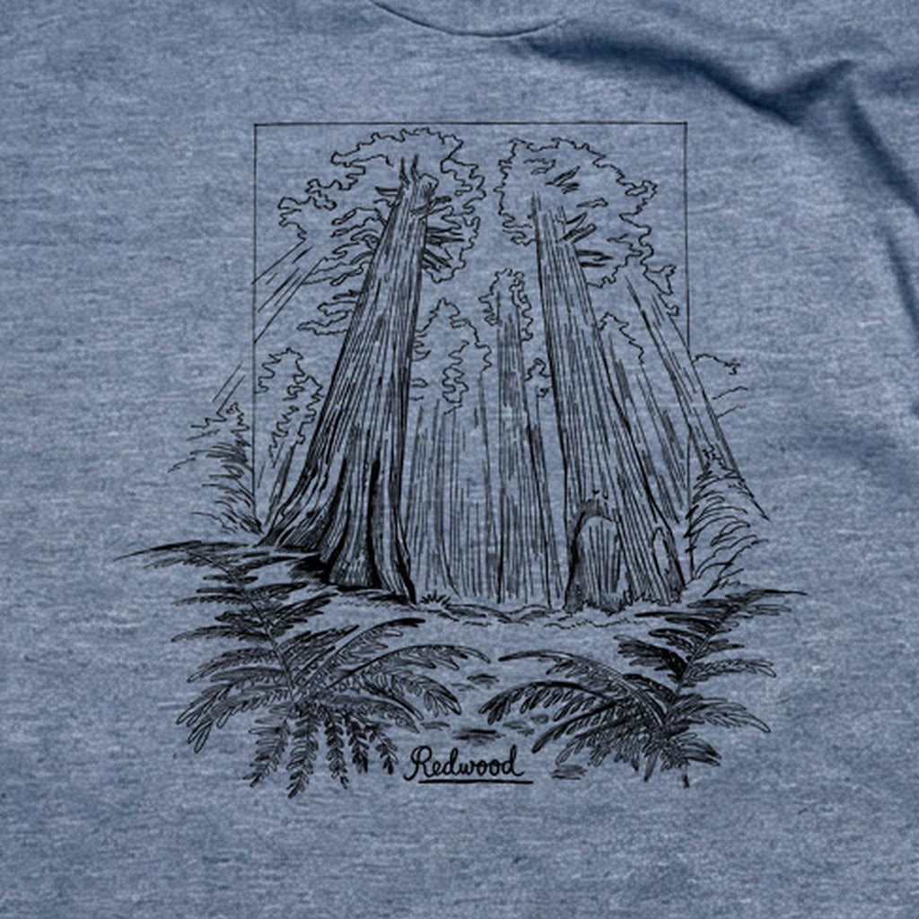 Redwood Line Drawing T-Shirt