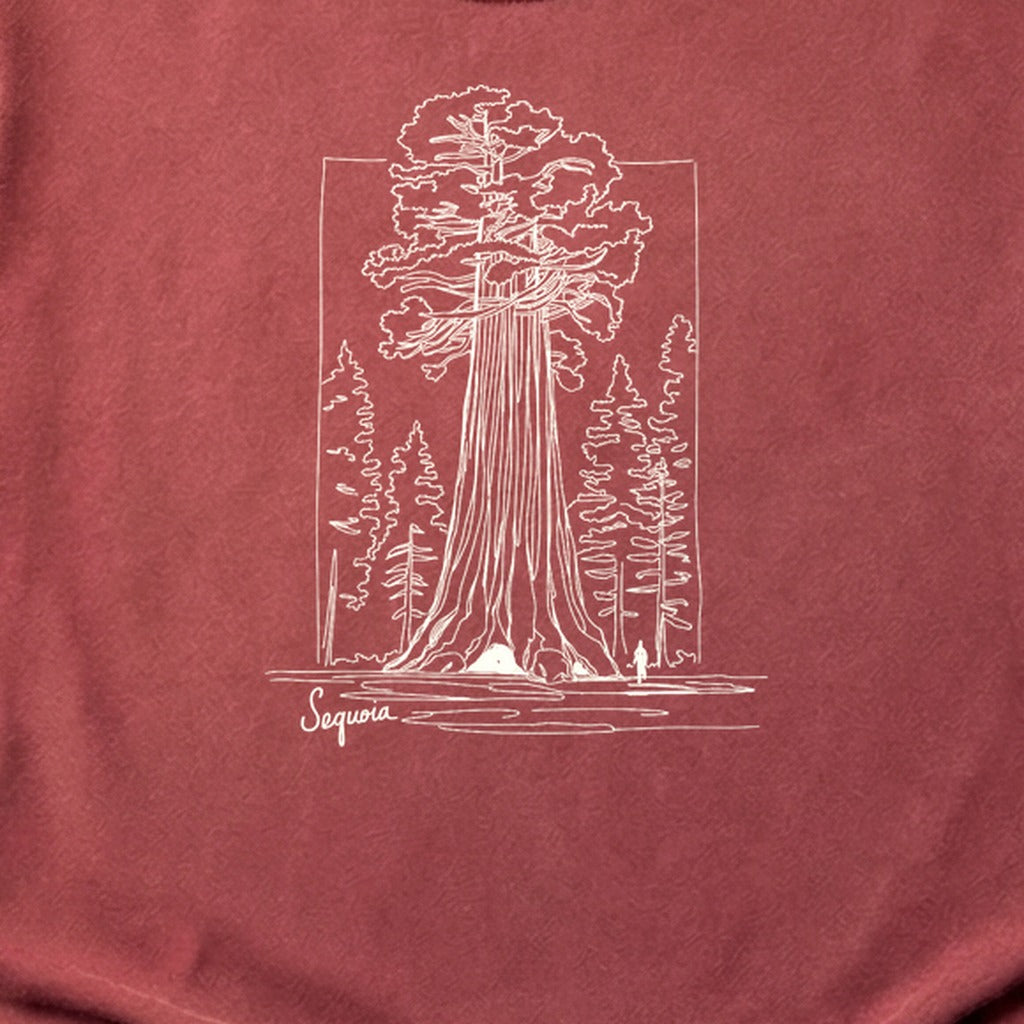 Sequoia Line Drawing Cotton T-Shirt