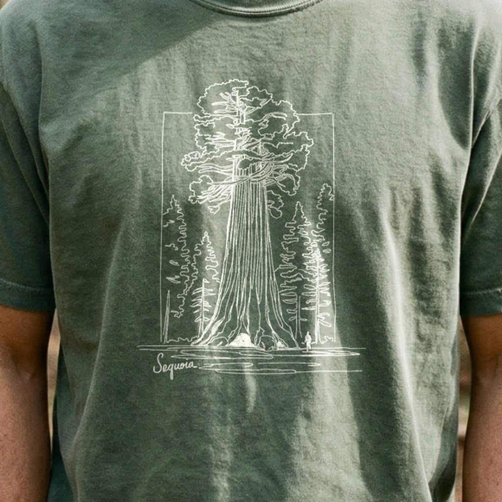 Sequoia Line Drawing Cotton T-Shirt