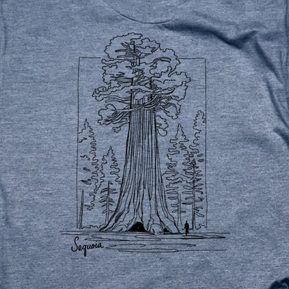 Sequoia Line Drawing T-Shirt