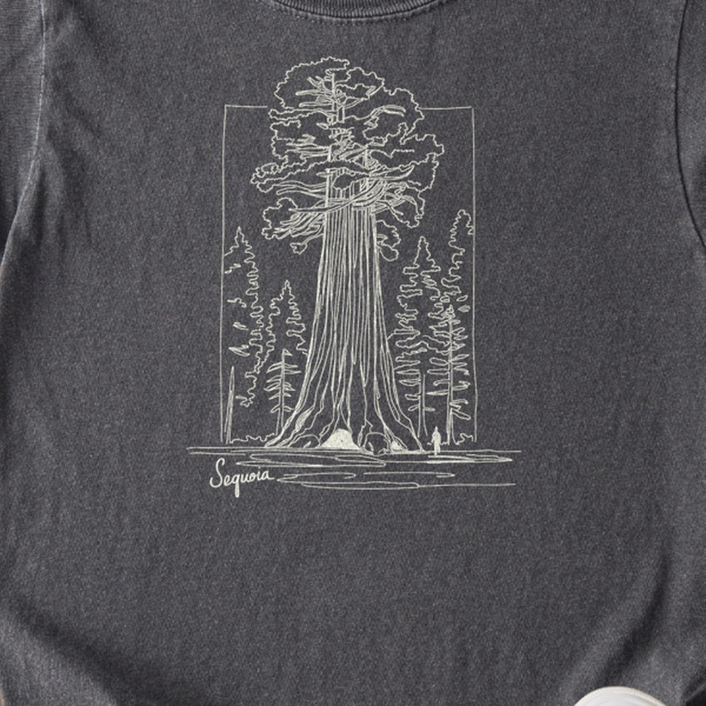 Sequoia Line Drawing Kids Cotton T-Shirt
