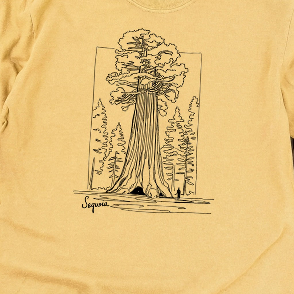 Sequoia Line Drawing Cotton Long Sleeve