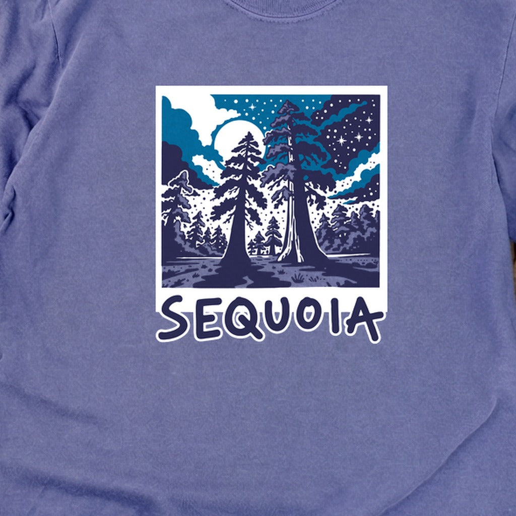 Sequoia at Night Cotton Long Sleeve